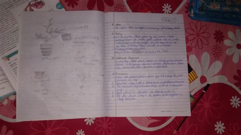 Write An Activity To Show That Sunlight Is Essential For Photosynthesis