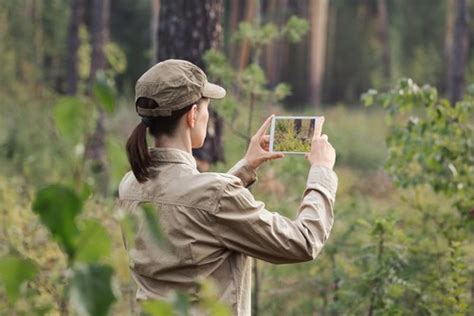 Tecnologia E Integra O A Favor Do Setor Florestal