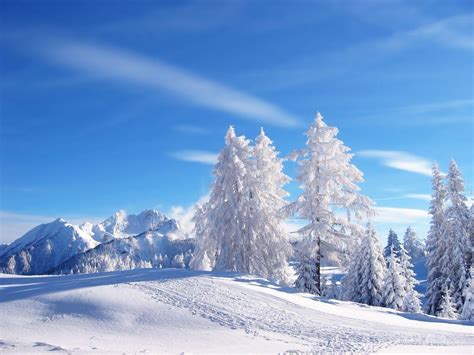 Free Winter Wallpapers For Desktop - Wallpaper Cave