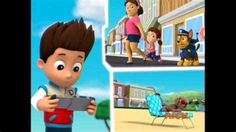 Precious Ownergallerypups Save A Flying Frog Paw Patrol Wiki