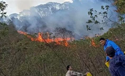 Terkini Kebakaran Hutan Di Gunung Papandayan Garut Petugas Berjibaku