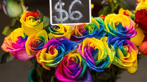 Rainbow Flower Roses