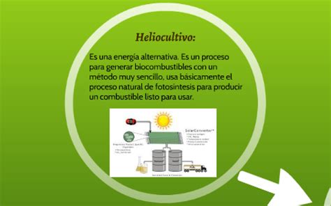 Heliocultivo Y Biomasa By Aitana Boix S Nchez On Prezi