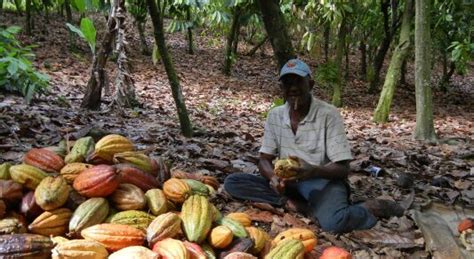 Dominica Part Of Gender Responsive Agriculture Program Starting This