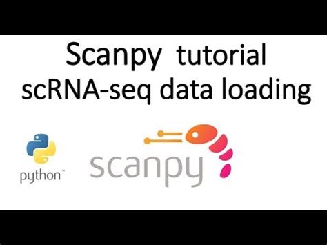 Scanpy Tutorial Loading Single Cell Rna Seq Data Using Scanpy And