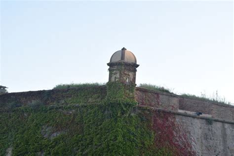 fort images browse  stock  vectors  video