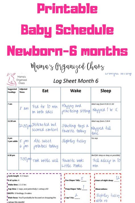 Printable Babywise Schedules Newborn To 6 Months Printable Babywise