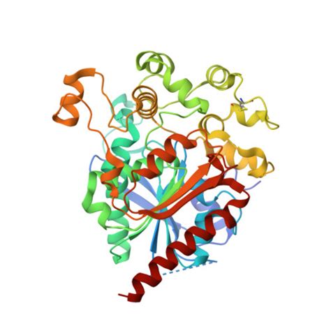 Gene P38571 Protein LIPA Overview CanSAR Ai