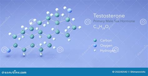 Testosterone Primary Male Sex Hormone Structural Chemical Formula And