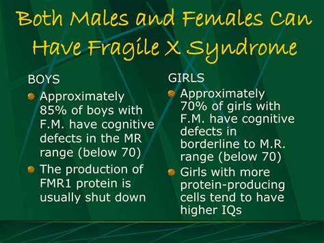 Ppt Fragile What An Overview Of Fragile X Syndrome And Its