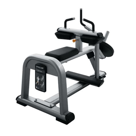 Precor DPL 616 Calf Raise Grays Fitness