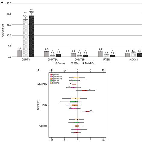 A Fold Changes In MRNA Expression Levels Of DNMT1 DNMT3a DNMT3b