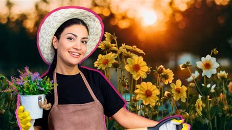 El abono casero que hará que todas tus plantas estallen de flores para