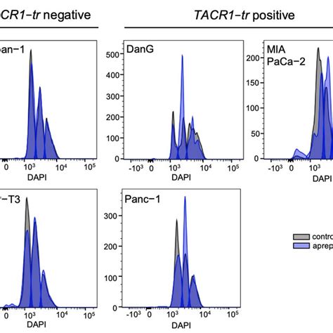 Evaluation Of Cell Cycle Progression In Pdac Cells Flow Cytometry