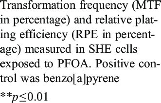 Of Cytotoxicity And Cell Transformation On Syrian Hamster Embryo Cells