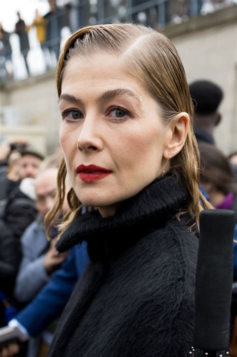 Rosamund Pike Christian Dior Fashion Show In Paris