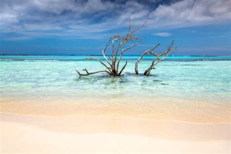 Aruba Idyllic Caribbean Beach At Sunny Day Dutch Antilles Caribbean