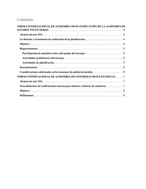 Papeles DE Trabajo Auditoria PAPELES DE TRABAJO Los Papeles De