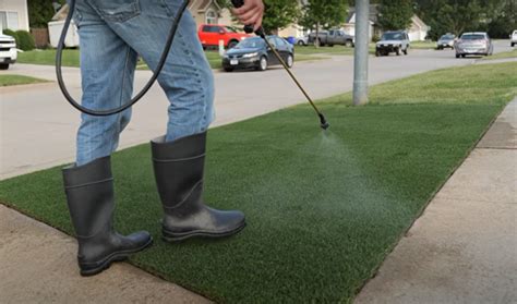 The Best Time To Spray Weed Killer Grass Killer