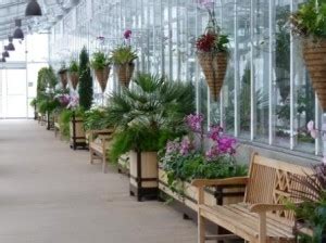 Orchid Showcase in Denver Botanic Gardens' Orangery | Denver Botanic ...