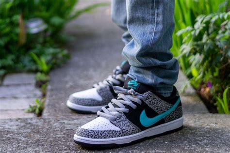 Nike Sb Dunk Low Atmos Elephant Review