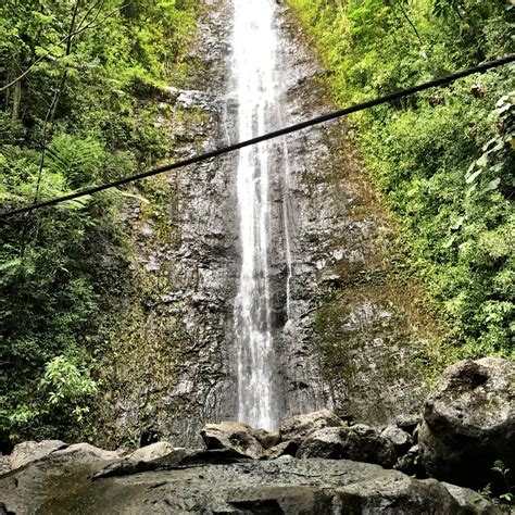 Hiking in Hawaii – Manoa Falls (Oahu) – Lost in the World