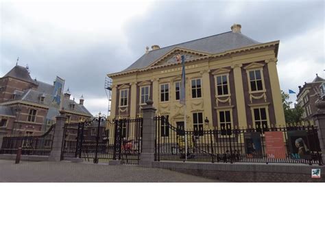 Discover The Hague Delft Rotterdam With Lunch