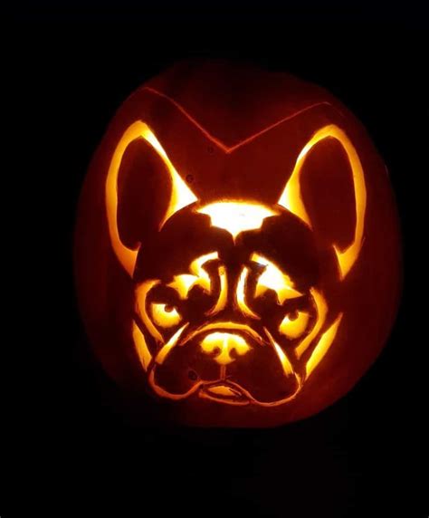 My French Bulldog Pumpkin Rpumpkincarving