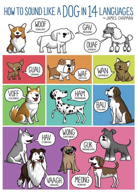 Dog Sounds A3 Poster In 2019 Language Dog Sounds Different Languages