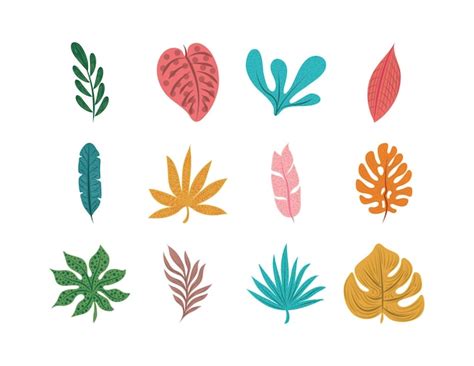 Premium Vector Tropical Leaves Set