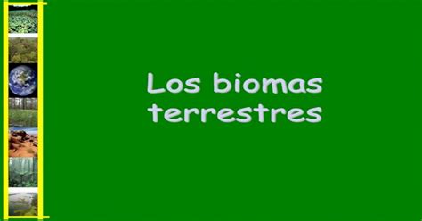 Los Biomas Terrestreslos Biomas Terrestres ¿qué Es Un Bioma • Se