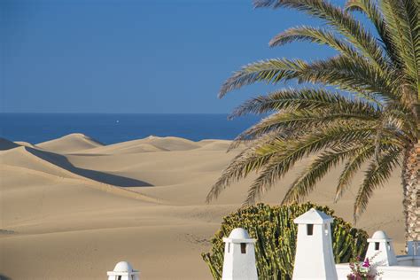 Gran Canaria Info 6 Free Things To Do In Maspalomas Resort