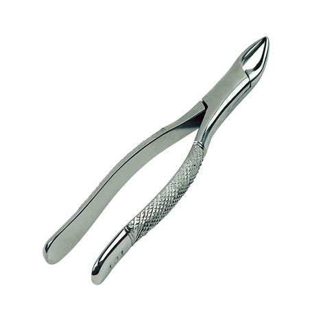 Dental Extracting Forceps Dental Surgical Instrument Surgical