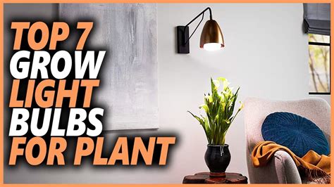 Top 7 Best Grow Light Bulbs For Plant In 2024 Youtube