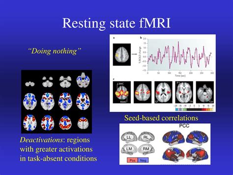 Ppt The Basics Of Fmri Powerpoint Presentation Free Download Id