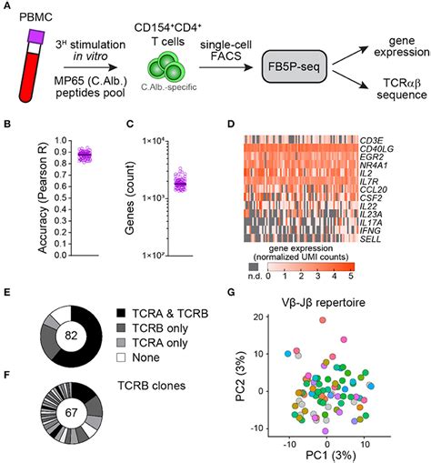 Frontiers Fb5p Seq Facs Based 5 Prime End Single Cell Rna Seq For Integrative Analysis Of