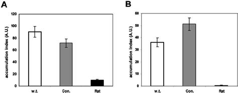 Effect Of Bufalin On Membrane Traf Fi C Requires High Af Fi Nity