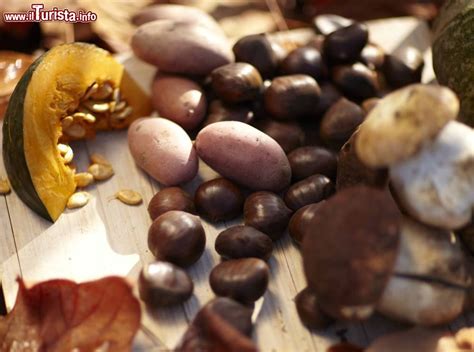 La Festa D Autunno Ad Abbazia Di San Salvatore Sul Monte Amiata In