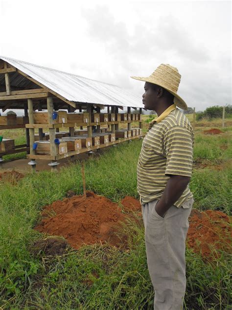 NYUKI MKOMBOZI COMPANY: Picha na Video