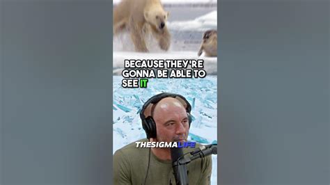 The Mystery Of The Siberian T 34 Polar Bear Jre Joerogan Jre