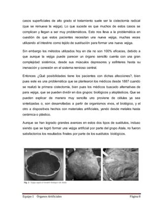 Rganos Artificiales Pdf