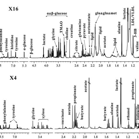 Typical 600 MHz 1 H NMR Spectra Of Serum A And Feces B In The