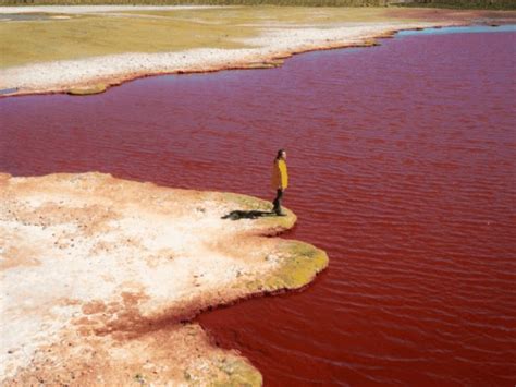 Río Nilo se tiñe de rojo como la peste que narra la biblia