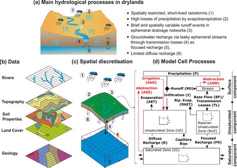 Schematic Representation Of DRYP Showing A The Main Hydrological