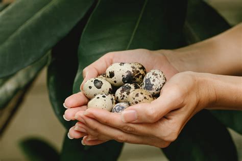 Qué usar en lugar de un huevo Alternativas saludables y deliciosas