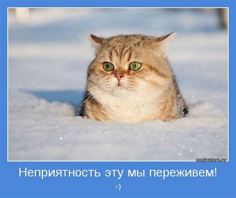 Неприятность=( — Ford Cougar, 2 л, 1999 года | своими руками | DRIVE2