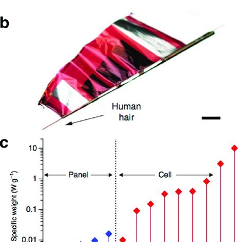 Organic Solar Cells Fabricated On Ultrathin Polyester Substrates A Download Scientific