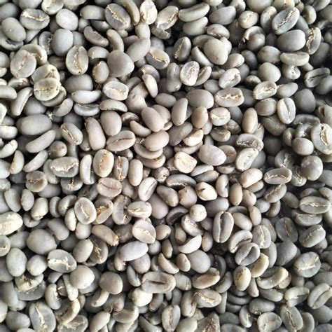 Jual Kopi Arabica Toraja Green Bean Biji Kopi Mentah Kg Gr