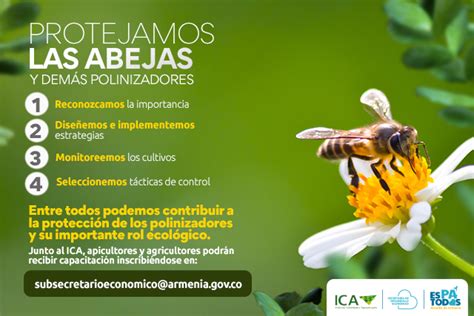 Alcaldía Promueve La Protección De Las Abejas Y Demás Polinizadores