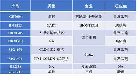 Claudin 182 在介绍claudin 182（cldn 182）靶点前，首先得介绍claudins，claudins是一类存在于